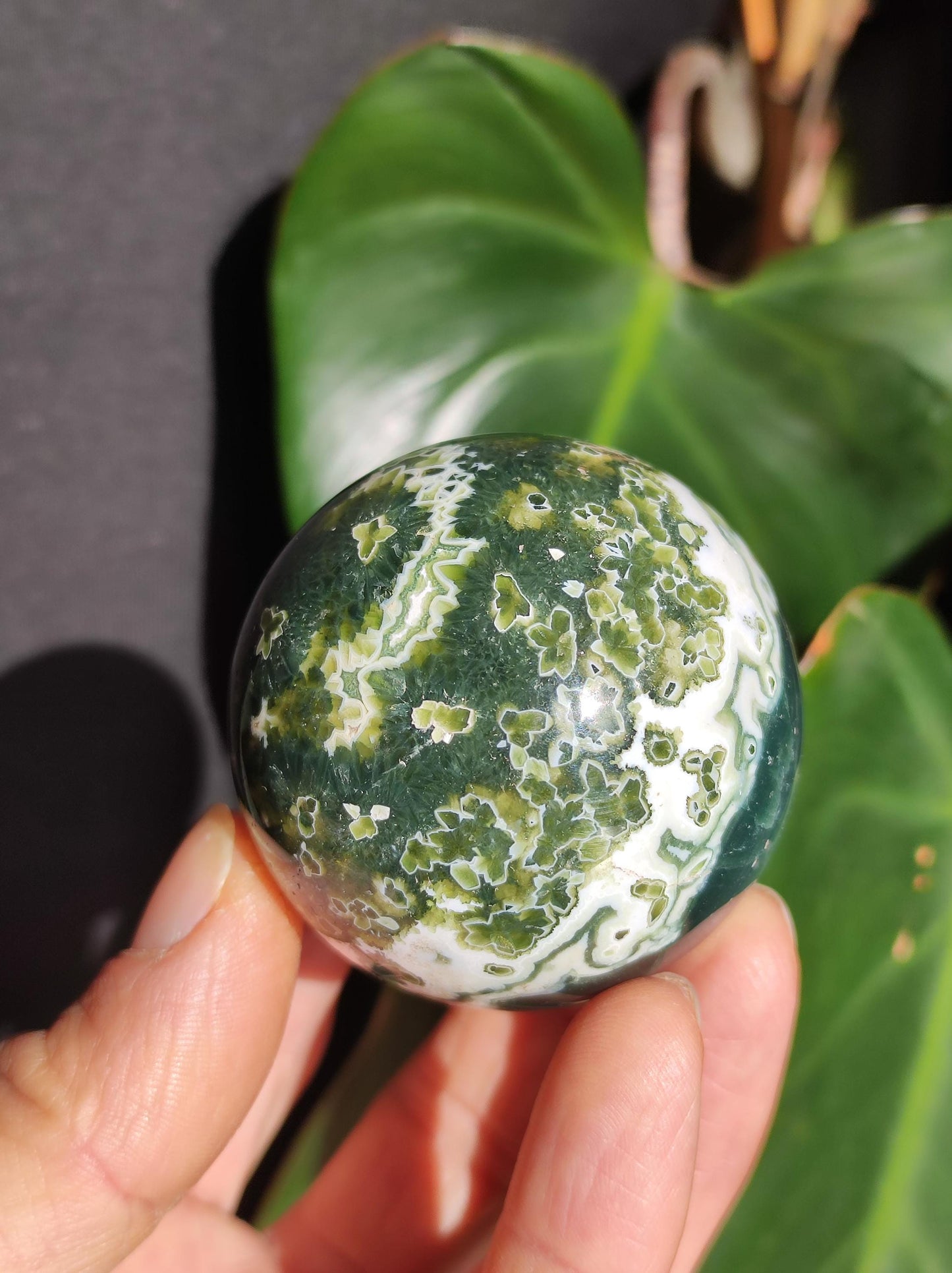 8 veines Ocean Jasper Orbiculaire vert - boule de pierre précieuse pierre de guérison naturelle décoration cristal cadeau lui elle homme femme maison appartement énergie rare