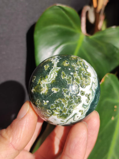 8 veines Ocean Jasper Orbiculaire vert - boule de pierre précieuse pierre de guérison naturelle décoration cristal cadeau lui elle homme femme maison appartement énergie rare