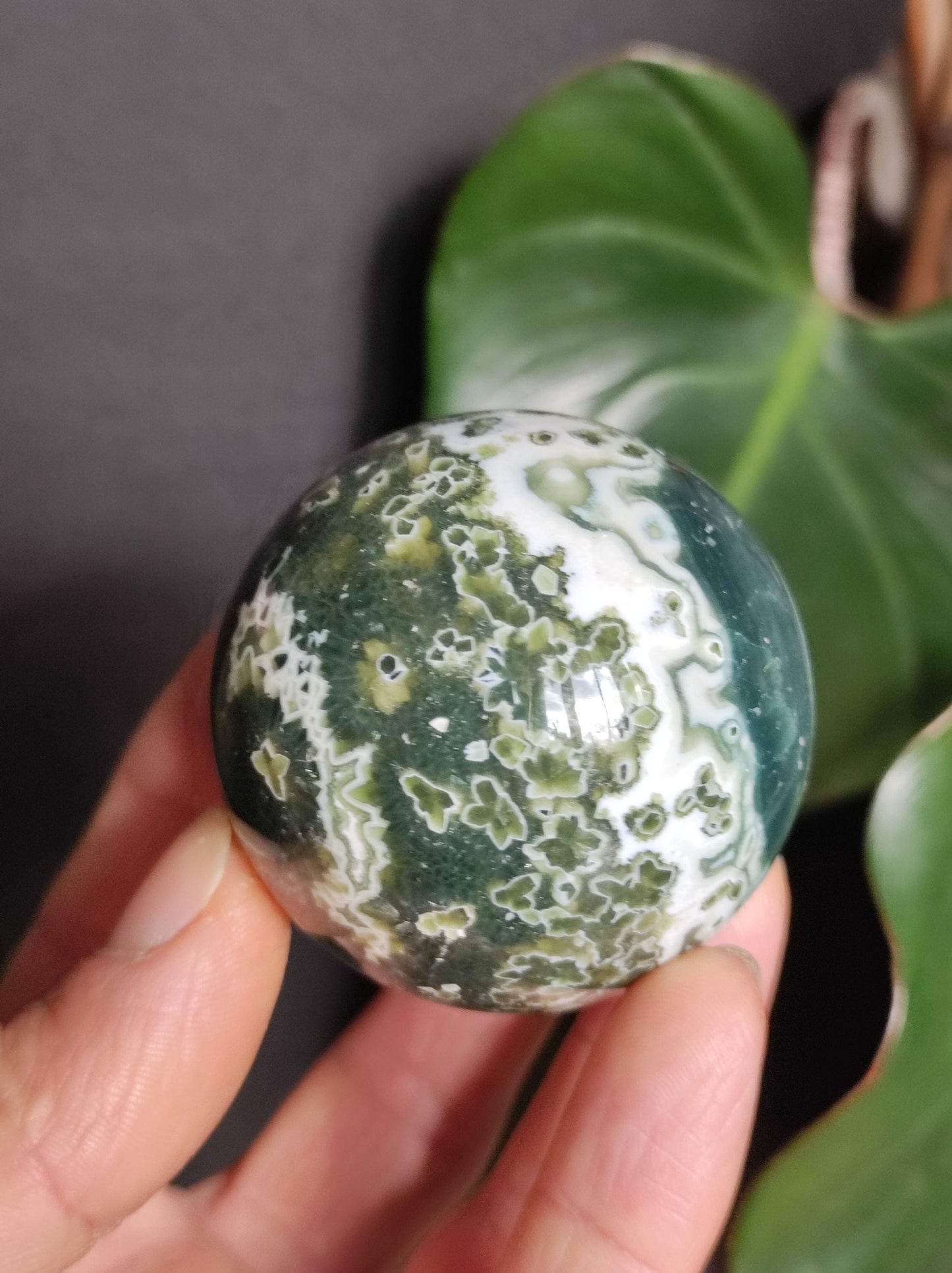 8 veines Ocean Jasper Orbiculaire vert - boule de pierre précieuse pierre de guérison naturelle décoration cristal cadeau lui elle homme femme maison appartement énergie rare