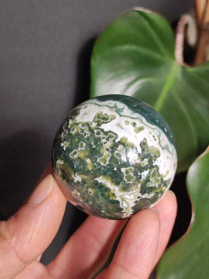 8 veines Ocean Jasper Orbiculaire vert - boule de pierre précieuse pierre de guérison naturelle décoration cristal cadeau lui elle homme femme maison appartement énergie rare