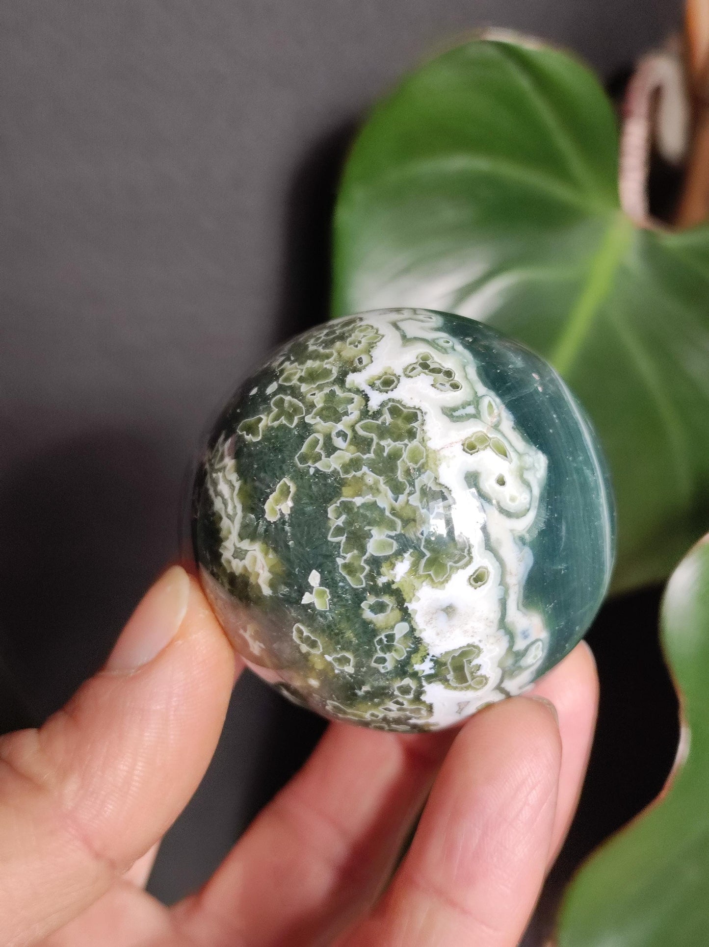8 veines Ocean Jasper Orbiculaire vert - boule de pierre précieuse pierre de guérison naturelle décoration cristal cadeau lui elle homme femme maison appartement énergie rare