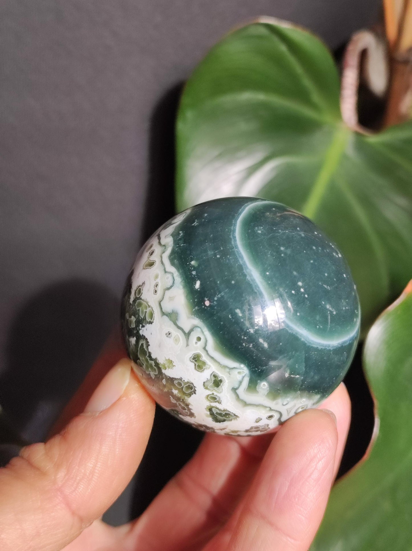 8 veines Ocean Jasper Orbiculaire vert - boule de pierre précieuse pierre de guérison naturelle décoration cristal cadeau lui elle homme femme maison appartement énergie rare