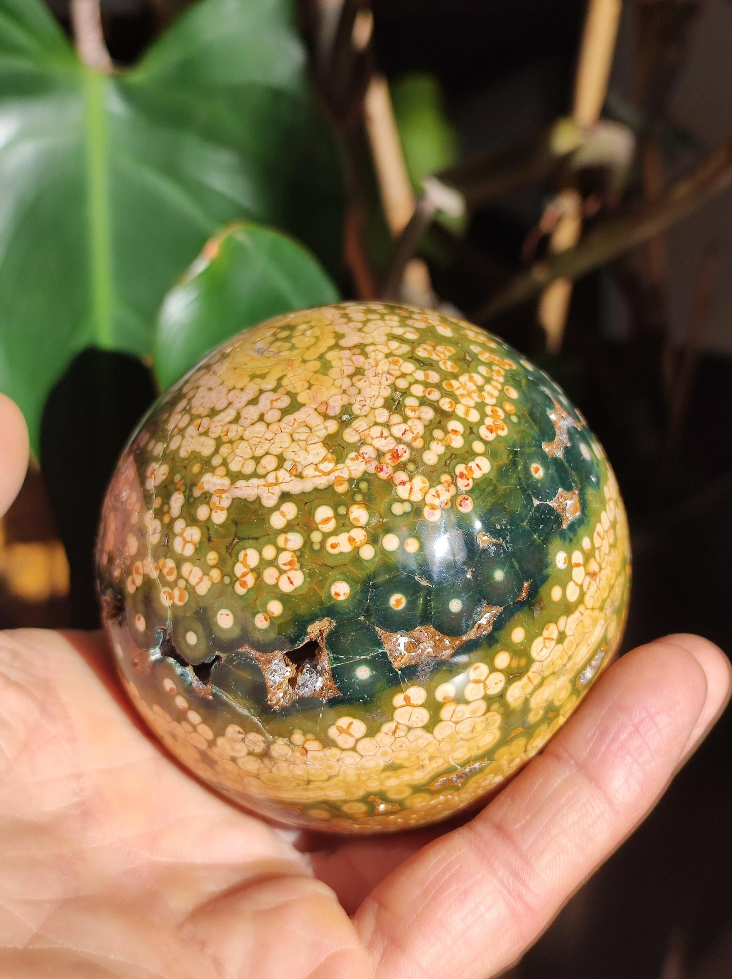 XXL 8 Brins de Jaspe Océan Orbiculé Jaune - Sphère de Pierre Précieuse Naturelle, Pierre de Guérison, Décoration, Cristal, Cadeau, Lui, Elle, Homme, Femme, Maison, Habitat, Énergie, Rare
