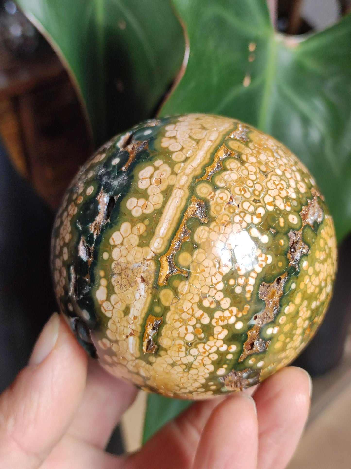 XXL 8 Brins de Jaspe Océan Orbiculé Jaune - Sphère de Pierre Précieuse Naturelle, Pierre de Guérison, Décoration, Cristal, Cadeau, Lui, Elle, Homme, Femme, Maison, Habitat, Énergie, Rare
