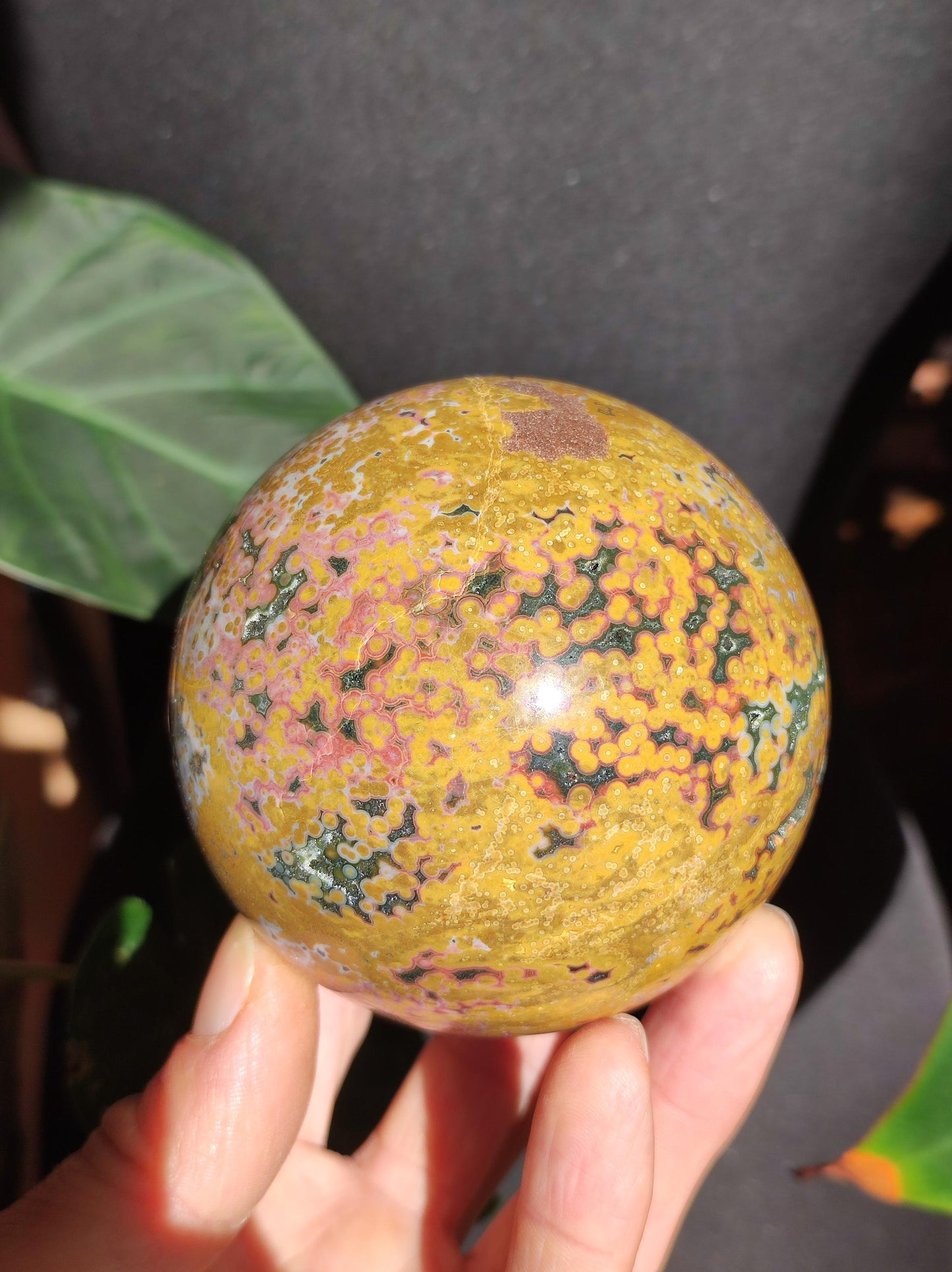XXL 8 Brins de Jaspe Océan Orbiculé Jaune - Sphère de Pierre Précieuse Naturelle, Pierre de Guérison, Décoration, Cristal, Cadeau, Lui, Elle, Homme, Femme, Maison, Habitat, Énergie, Rare