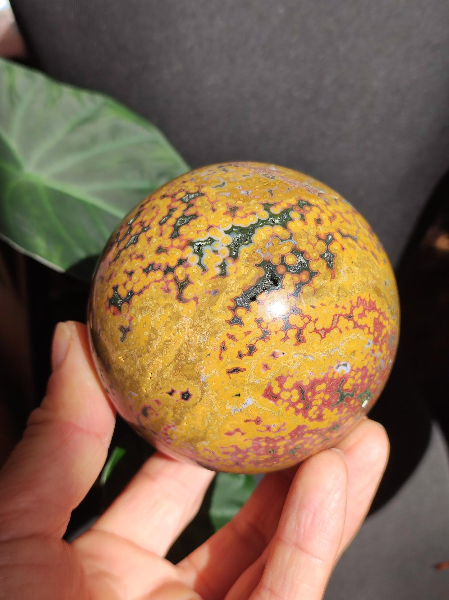XXL 8 Brins de Jaspe Océan Orbiculé Jaune - Sphère de Pierre Précieuse Naturelle, Pierre de Guérison, Décoration, Cristal, Cadeau, Lui, Elle, Homme, Femme, Maison, Habitat, Énergie, Rare