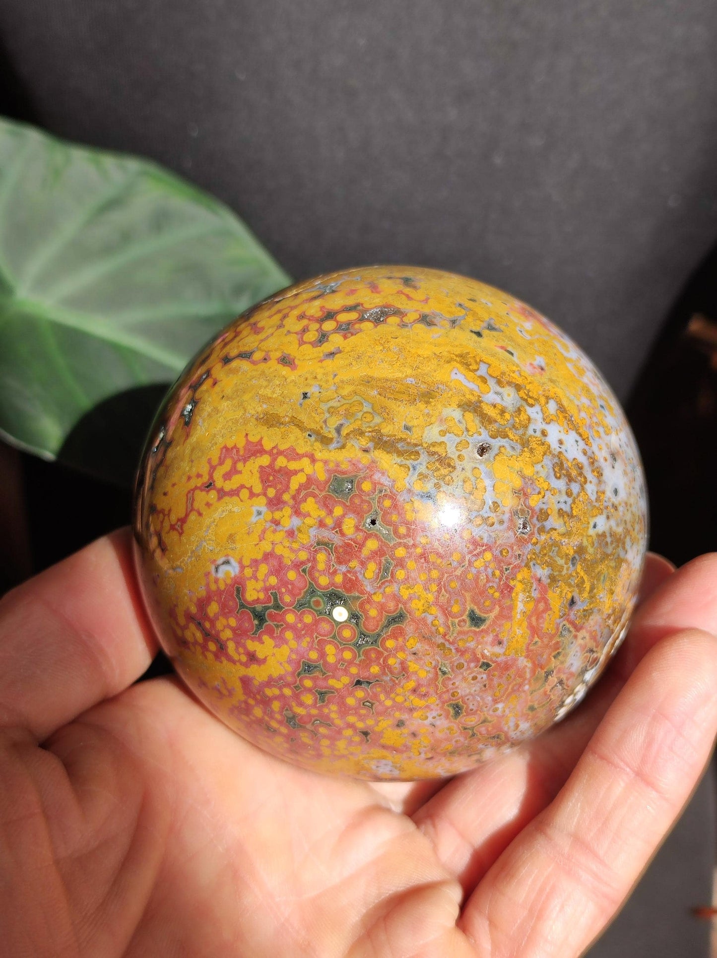 XXL 8 Brins de Jaspe Océan Orbiculé Jaune - Sphère de Pierre Précieuse Naturelle, Pierre de Guérison, Décoration, Cristal, Cadeau, Lui, Elle, Homme, Femme, Maison, Habitat, Énergie, Rare