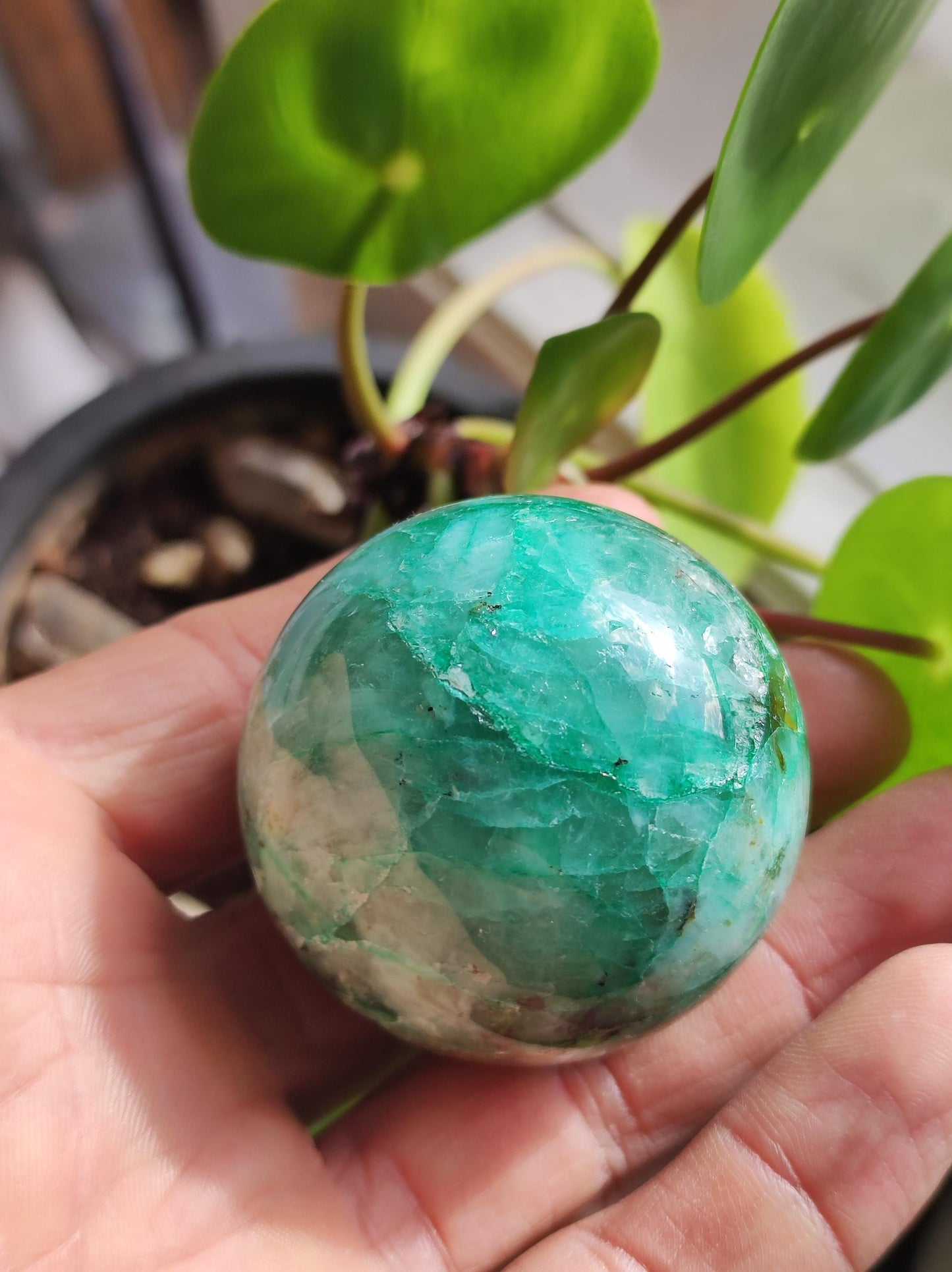 Chrysocoll Quantum Quattro AAA Sphere ~ Magic Gemstone Ball Massage &amp; Decoration Crystal Meditation Healing Stone Rarity Collector Chrysocolla