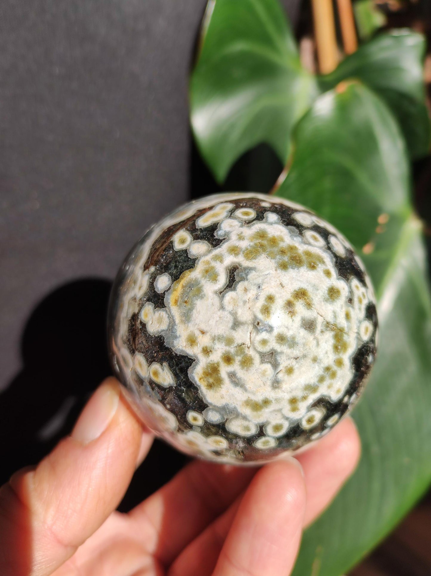 8 veins Ocean Jasper Orbicular green - gemstone ball natural healing stone decoration crystal gift him she man woman house apartment energy rare