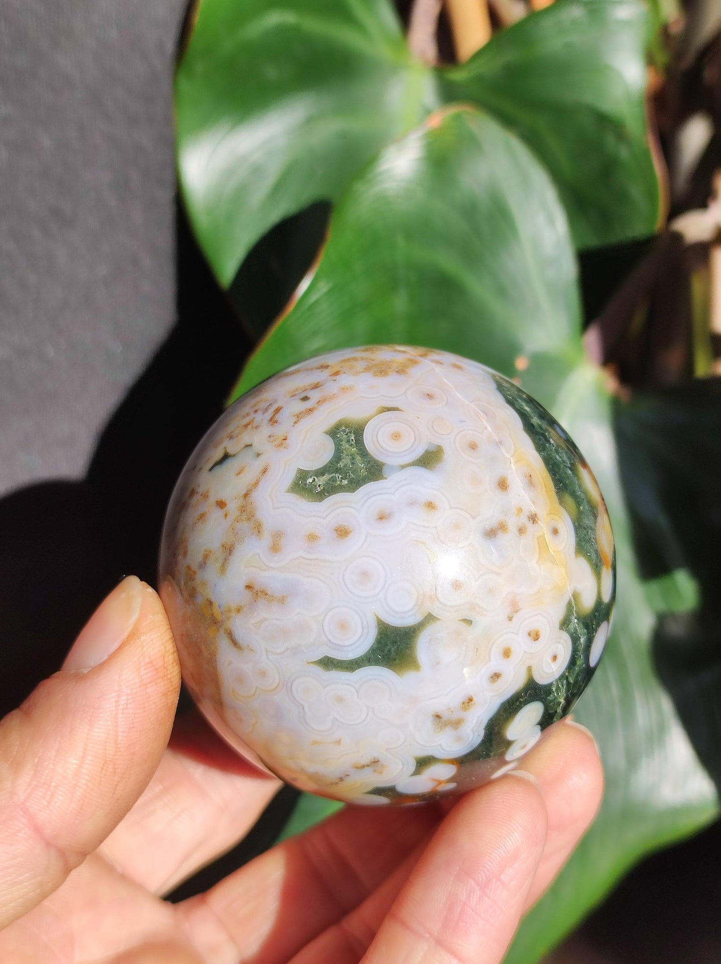 8 Adern Ocean Jaspis Orbicular grün weiß - Edelstein Kugel Natur Heilstein Deko Kristall Geschenk Er Sie Mann Frau Wohnung Energie Selten