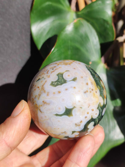 8 Adern Ocean Jaspis Orbicular grün weiß - Edelstein Kugel Natur Heilstein Deko Kristall Geschenk Er Sie Mann Frau Wohnung Energie Selten