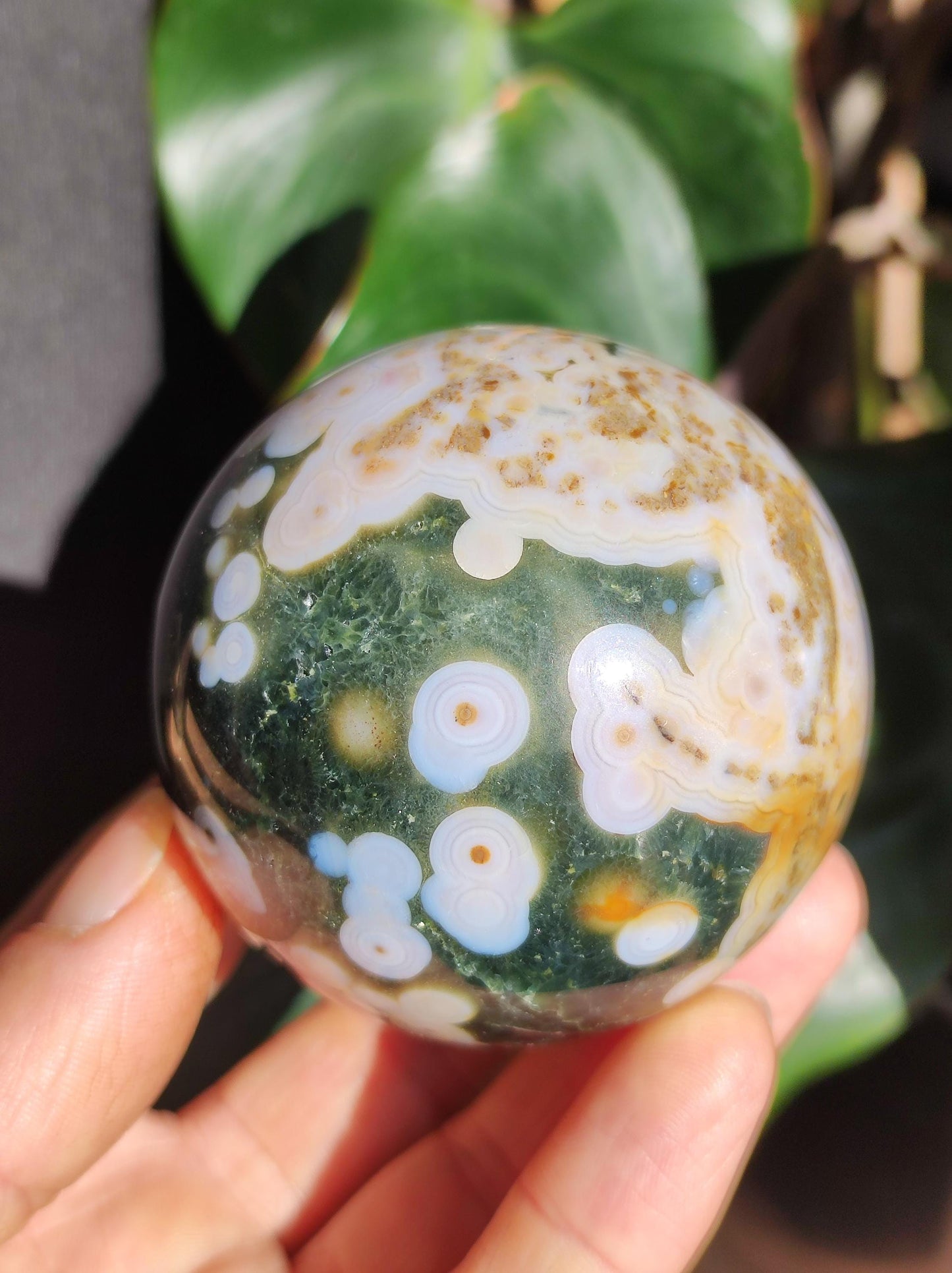 8 Adern Ocean Jaspis Orbicular grün weiß - Edelstein Kugel Natur Heilstein Deko Kristall Geschenk Er Sie Mann Frau Wohnung Energie Selten