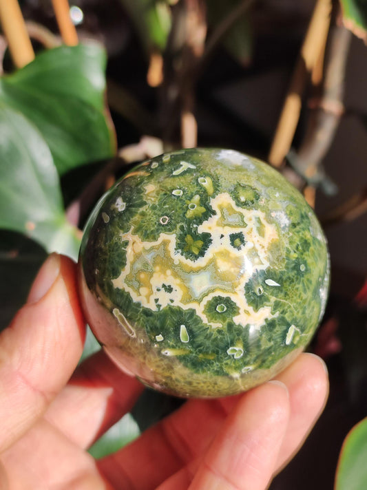 8 veines Ocean Jasper Orbiculaire vert - boule de pierre précieuse pierre de guérison naturelle décoration cristal cadeau lui elle homme femme maison appartement énergie rare