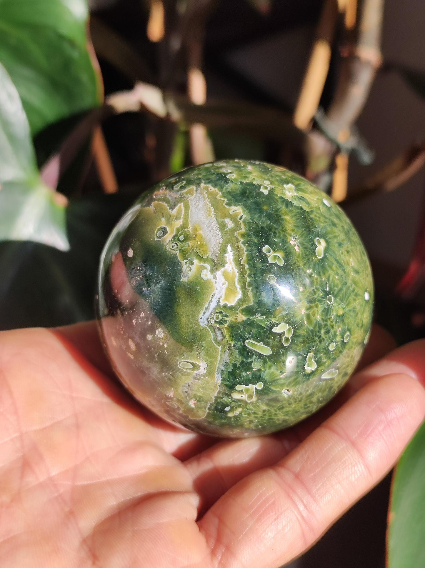 8 veines Ocean Jasper Orbiculaire vert - boule de pierre précieuse pierre de guérison naturelle décoration cristal cadeau lui elle homme femme maison appartement énergie rare
