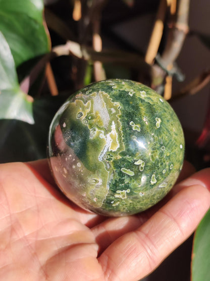 8 veines Ocean Jasper Orbiculaire vert - boule de pierre précieuse pierre de guérison naturelle décoration cristal cadeau lui elle homme femme maison appartement énergie rare