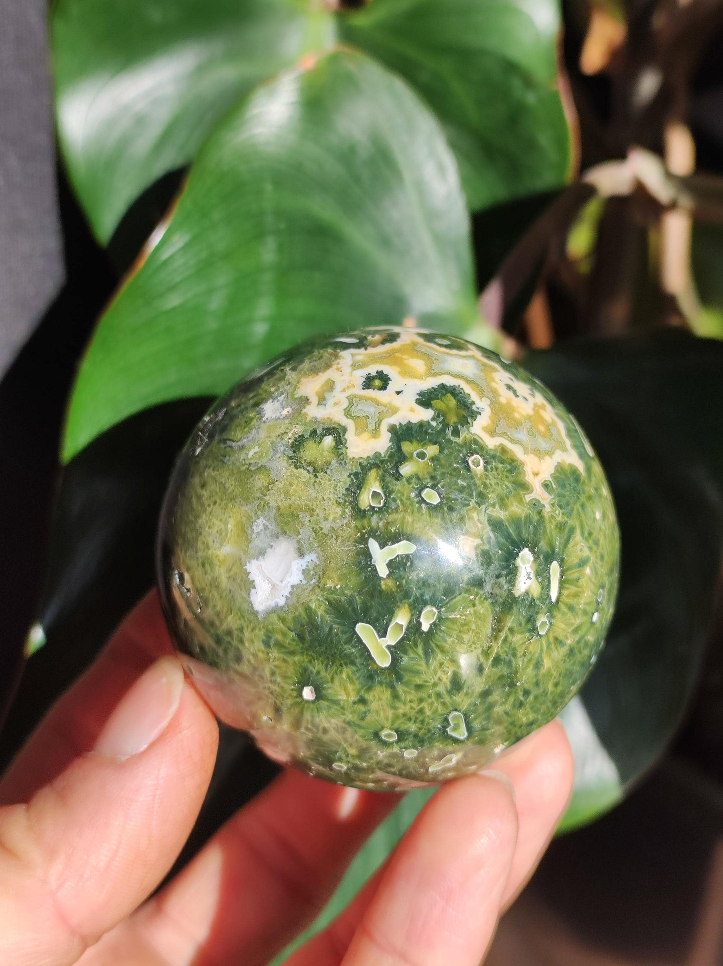 8 veines Ocean Jasper Orbiculaire vert - boule de pierre précieuse pierre de guérison naturelle décoration cristal cadeau lui elle homme femme maison appartement énergie rare