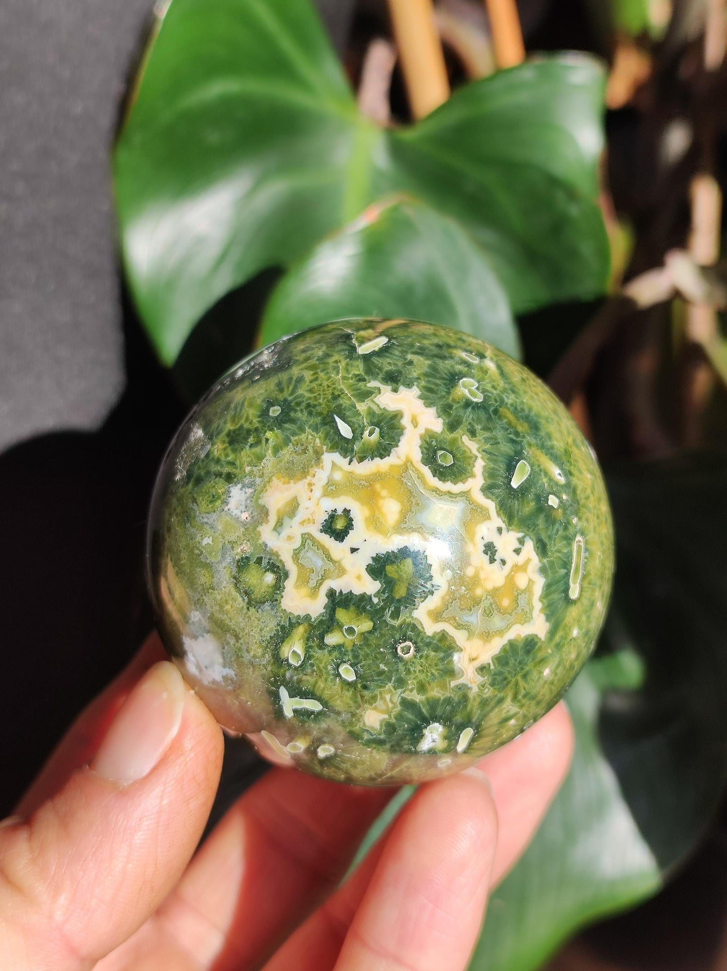 8 veines Ocean Jasper Orbiculaire vert - boule de pierre précieuse pierre de guérison naturelle décoration cristal cadeau lui elle homme femme maison appartement énergie rare