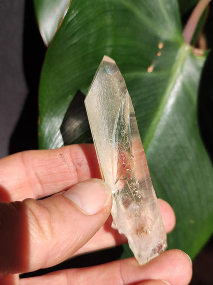 Pointe de Quartz Citron XL Objet de collection Rareté Pierre précieuse Décoration Cristal Pierre de guérison Minéral Collection Énergie Nature Méditation HIPPIE jaune nature