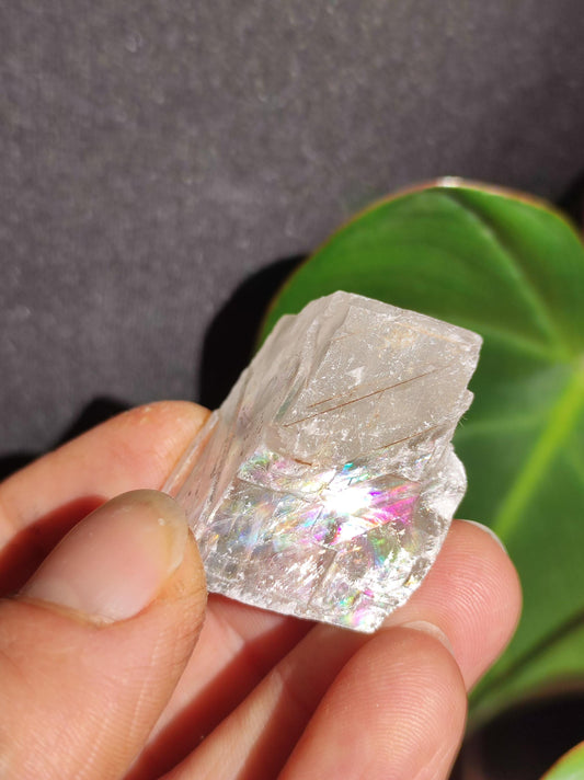 Feldspar with Rainbow Rough Collector Grade Rarity Gemstone Decoration Crystal Healing Stone Mineral Collection Energy Power Gift Him Her