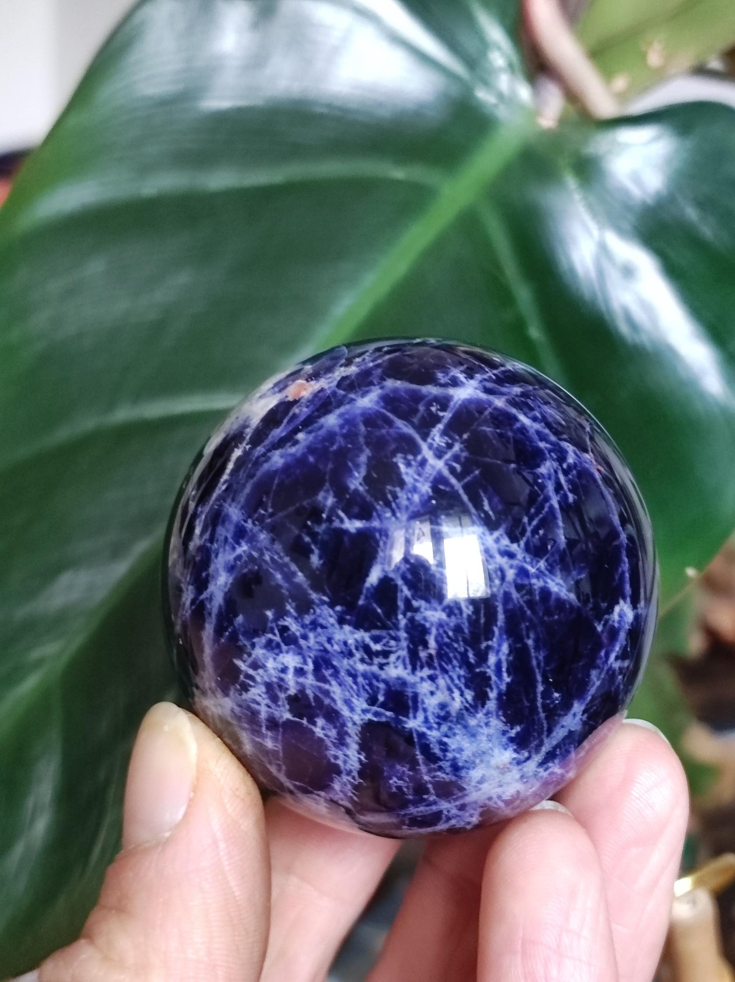 Sodalith - Edelstein Kugel Deko Sphere Massage Kristall Spielkugel Meditation Heilstein Frau Mann Geschenk Er Sie Haus Energie Traum Wohnen