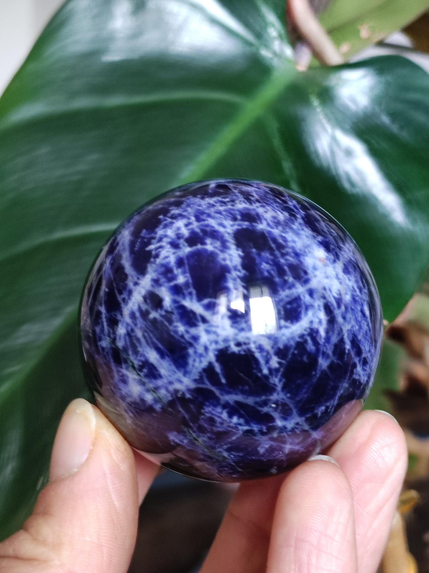 Sodalith - Edelstein Kugel Deko Sphere Massage Kristall Spielkugel Meditation Heilstein Frau Mann Geschenk Er Sie Haus Energie Traum Wohnen