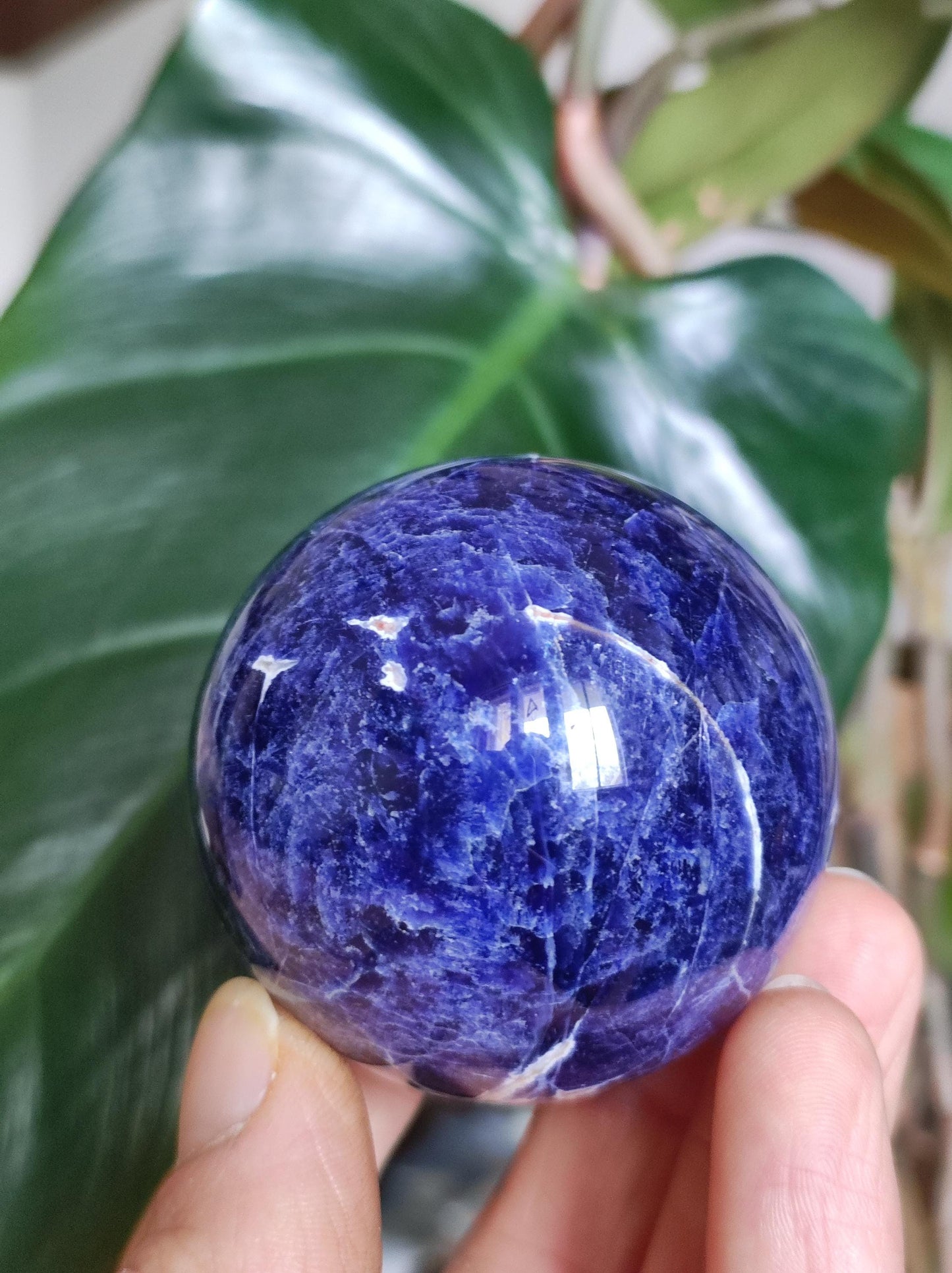Sodalith - Edelstein Kugel Deko Sphere Massage Kristall Spielkugel Meditation Heilstein Frau Mann Geschenk Er Sie Haus Energie Traum Wohnen