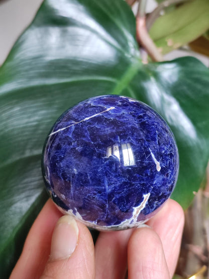 Sodalith - Edelstein Kugel Deko Sphere Massage Kristall Spielkugel Meditation Heilstein Frau Mann Geschenk Er Sie Haus Energie Traum Wohnen