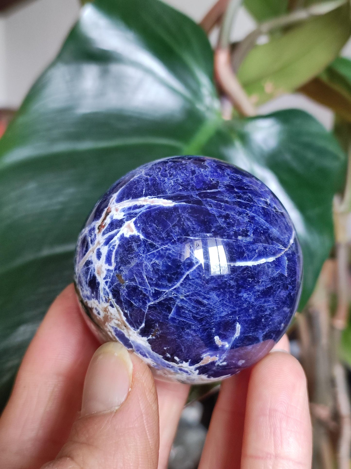 Sodalith - Edelstein Kugel Deko Sphere Massage Kristall Spielkugel Meditation Heilstein Frau Mann Geschenk Er Sie Haus Energie Traum Wohnen