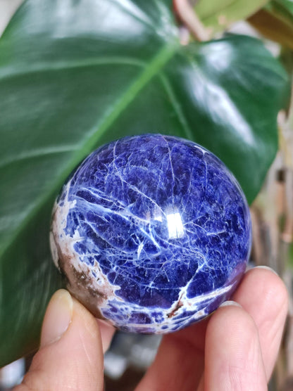Sodalith - Edelstein Kugel Deko Sphere Massage Kristall Spielkugel Meditation Heilstein Frau Mann Geschenk Er Sie Haus Energie Traum Wohnen
