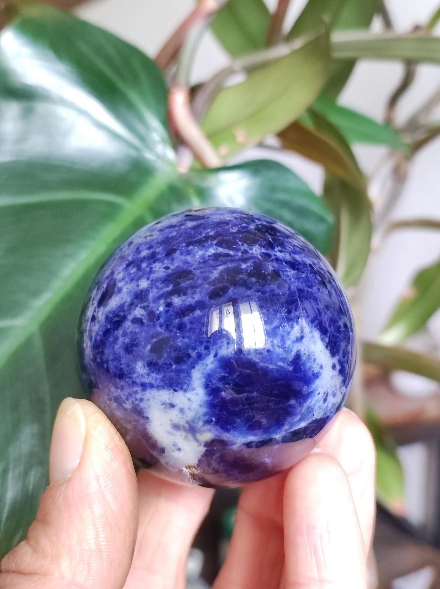 Sodalith - Edelstein Kugel Deko Sphere Massage Kristall Spielkugel Meditation Heilstein Frau Mann Geschenk Er Sie Haus Energie Traum Wohnen