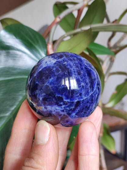 Sodalith - Edelstein Kugel Deko Sphere Massage Kristall Spielkugel Meditation Heilstein Frau Mann Geschenk Er Sie Haus Energie Traum Wohnen