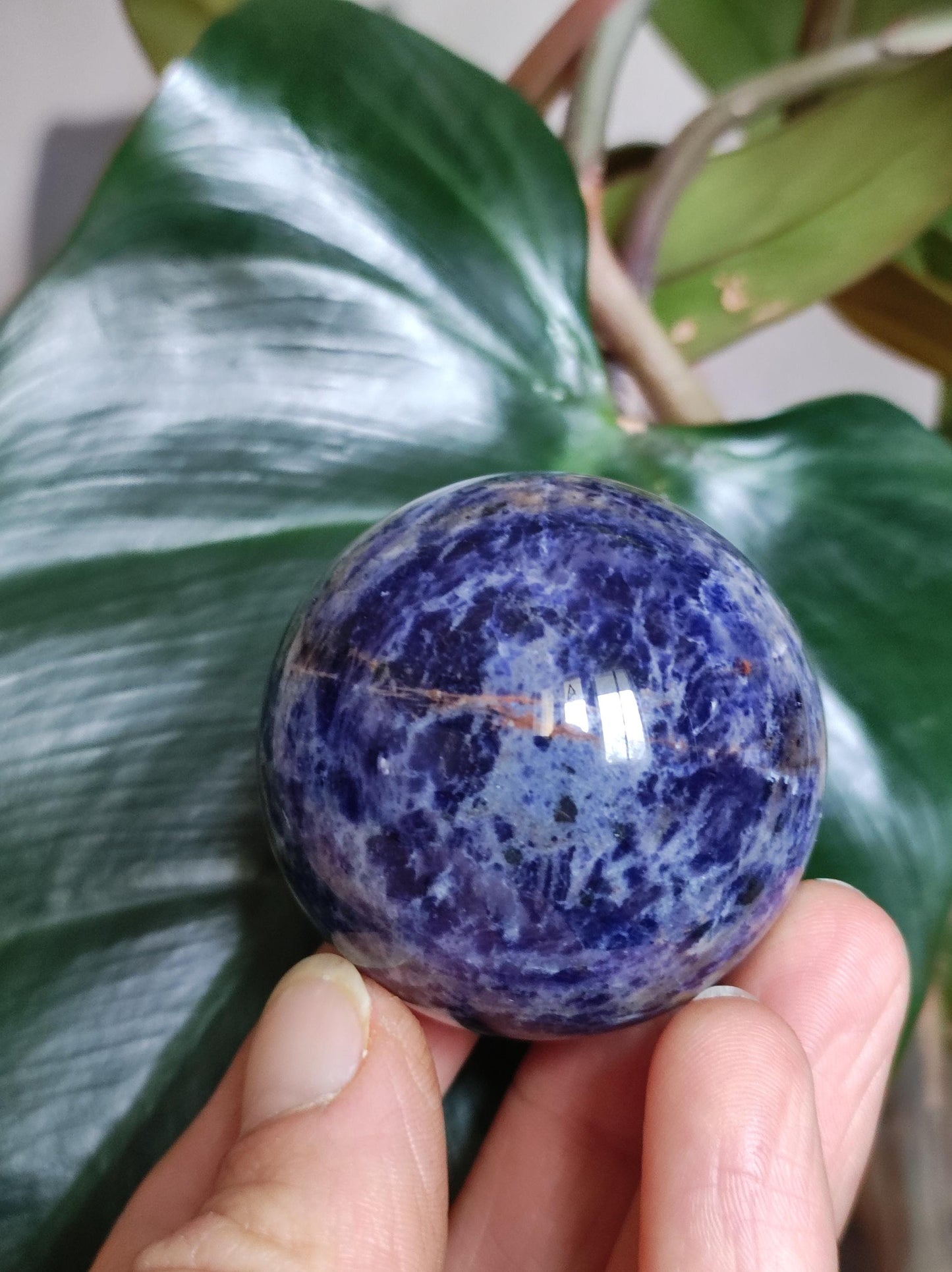 Sodalith - Edelstein Kugel Deko Sphere Massage Kristall Spielkugel Meditation Heilstein Frau Mann Geschenk Er Sie Haus Energie Traum Wohnen