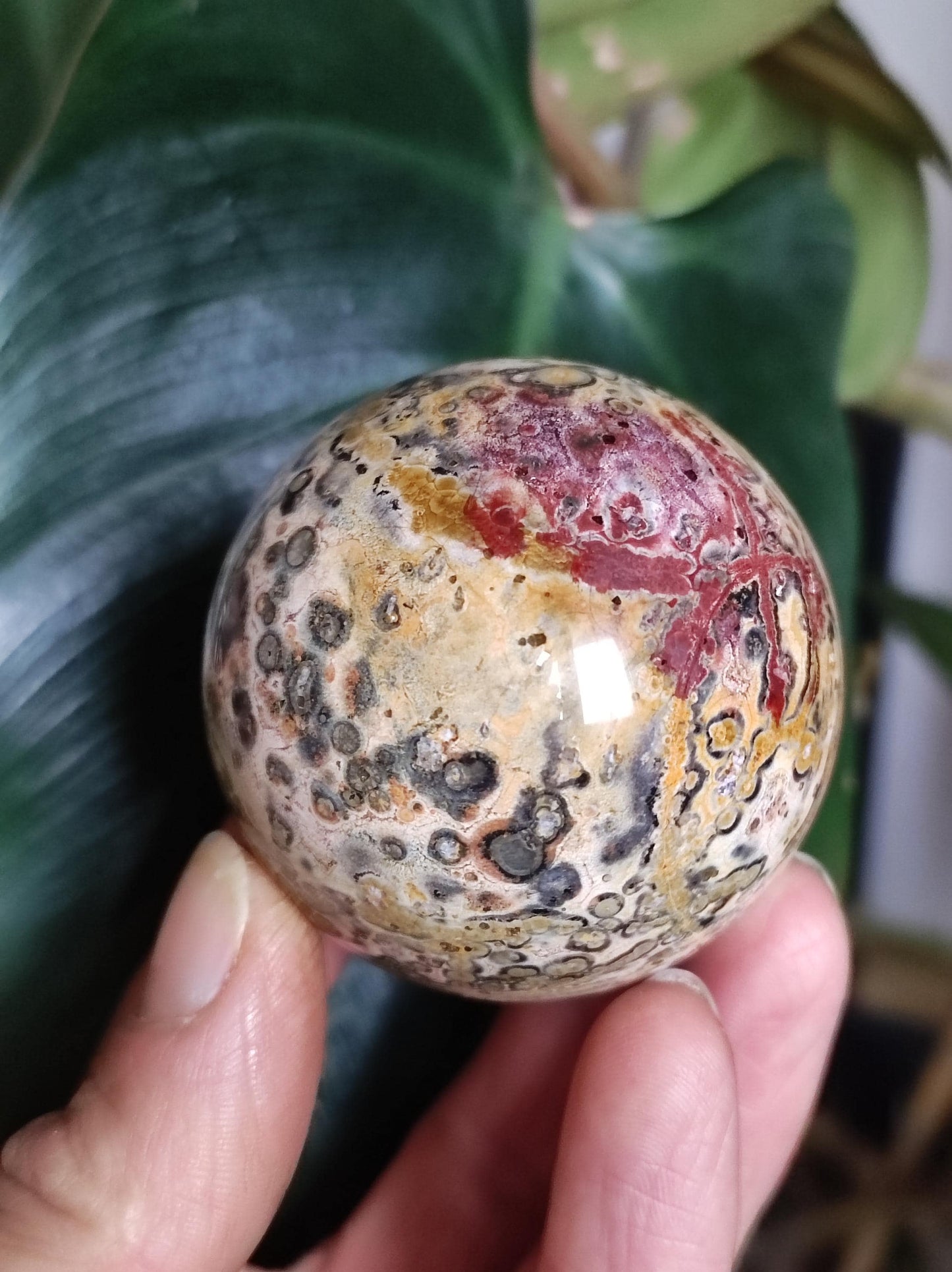 Leopard Jasper Red Yellow ~ Magical Gemstone Sphere Collector's Decor Crystal Sphere Meditation Home Living Energy Chakra Healing Stone