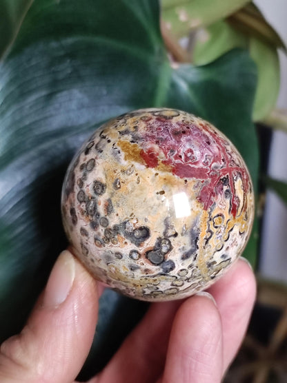 Leopard Jasper Red Yellow ~ Magical Gemstone Sphere Collector's Decor Crystal Sphere Meditation Home Living Energy Chakra Healing Stone