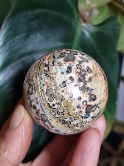 Leopard Jasper Red Yellow ~ Magical Gemstone Sphere Collector's Decor Crystal Sphere Meditation Home Living Energy Chakra Healing Stone