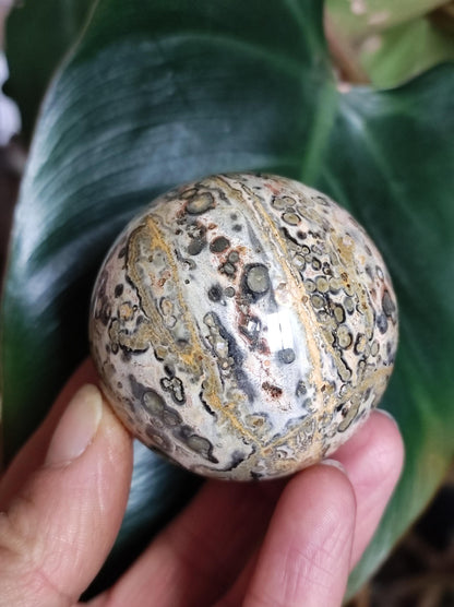 Leopard Jasper Red Yellow ~ Magical Gemstone Sphere Collector's Decor Crystal Sphere Meditation Home Living Energy Chakra Healing Stone