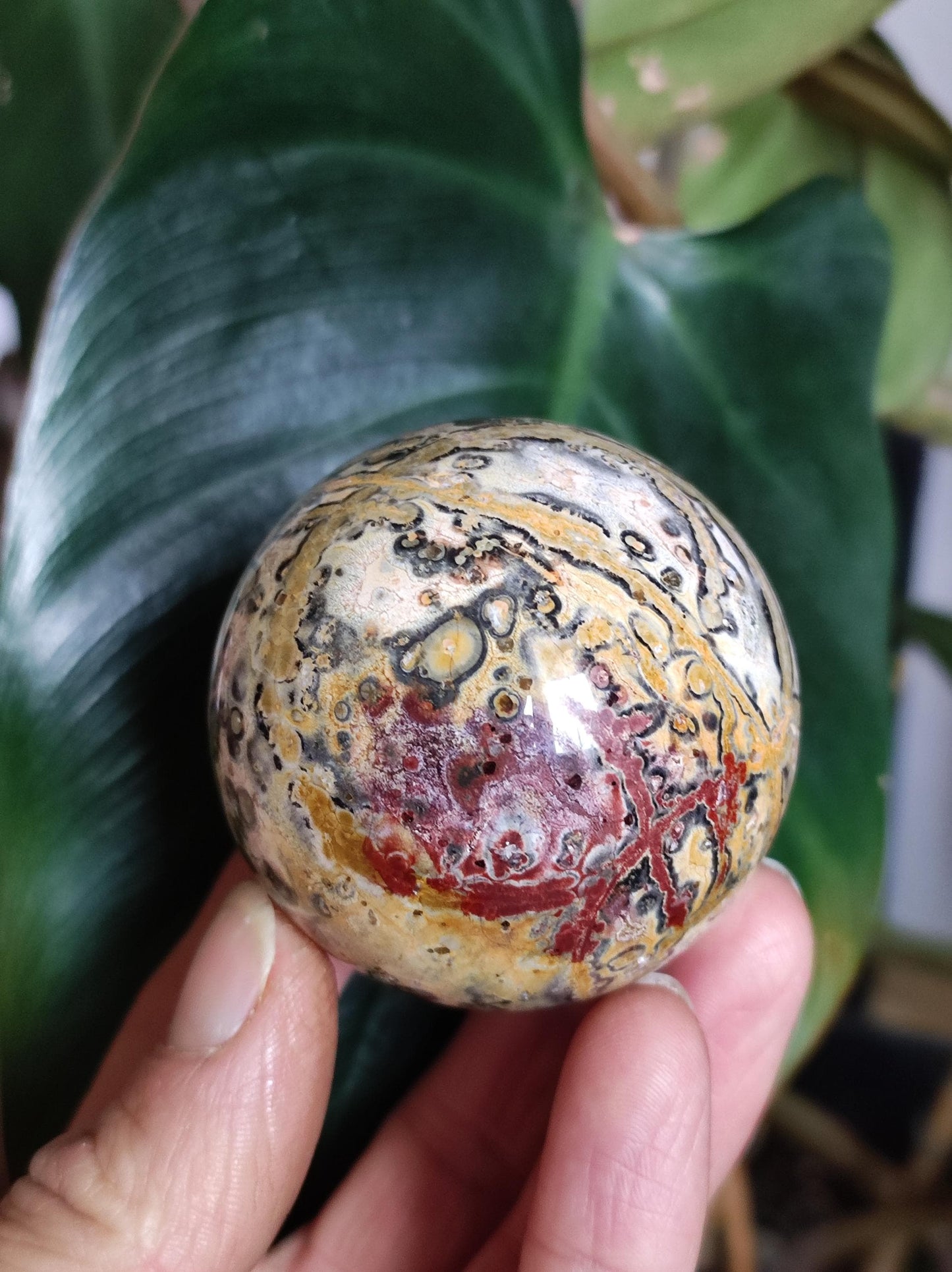 Leopard Jasper Red Yellow ~ Magical Gemstone Sphere Collector's Decor Crystal Sphere Meditation Home Living Energy Chakra Healing Stone