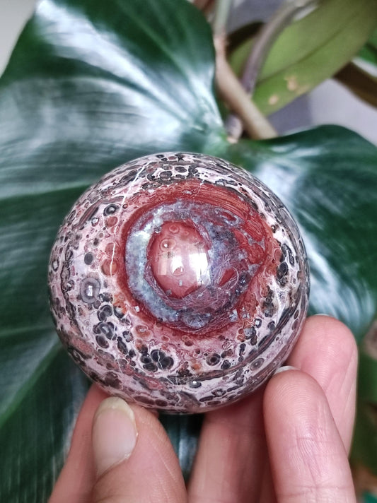 Leopard Jasper red yellow ~ Magic Gemstone Ball Collector Decoration Crystal Crystal Sphere Meditation Home Living Energy Chakra Healing Stone