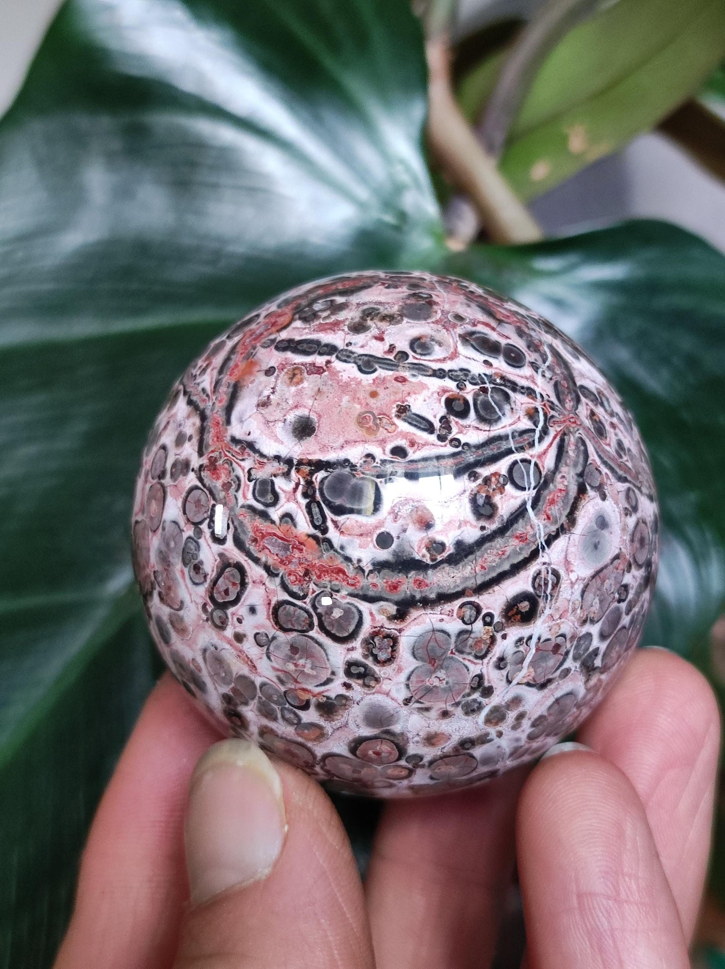 Leopard Jasper red yellow ~ Magic Gemstone Ball Collector Decoration Crystal Crystal Sphere Meditation Home Living Energy Chakra Healing Stone