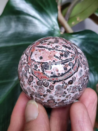 Leopard Jasper red yellow ~ Magic Gemstone Ball Collector Decoration Crystal Crystal Sphere Meditation Home Living Energy Chakra Healing Stone