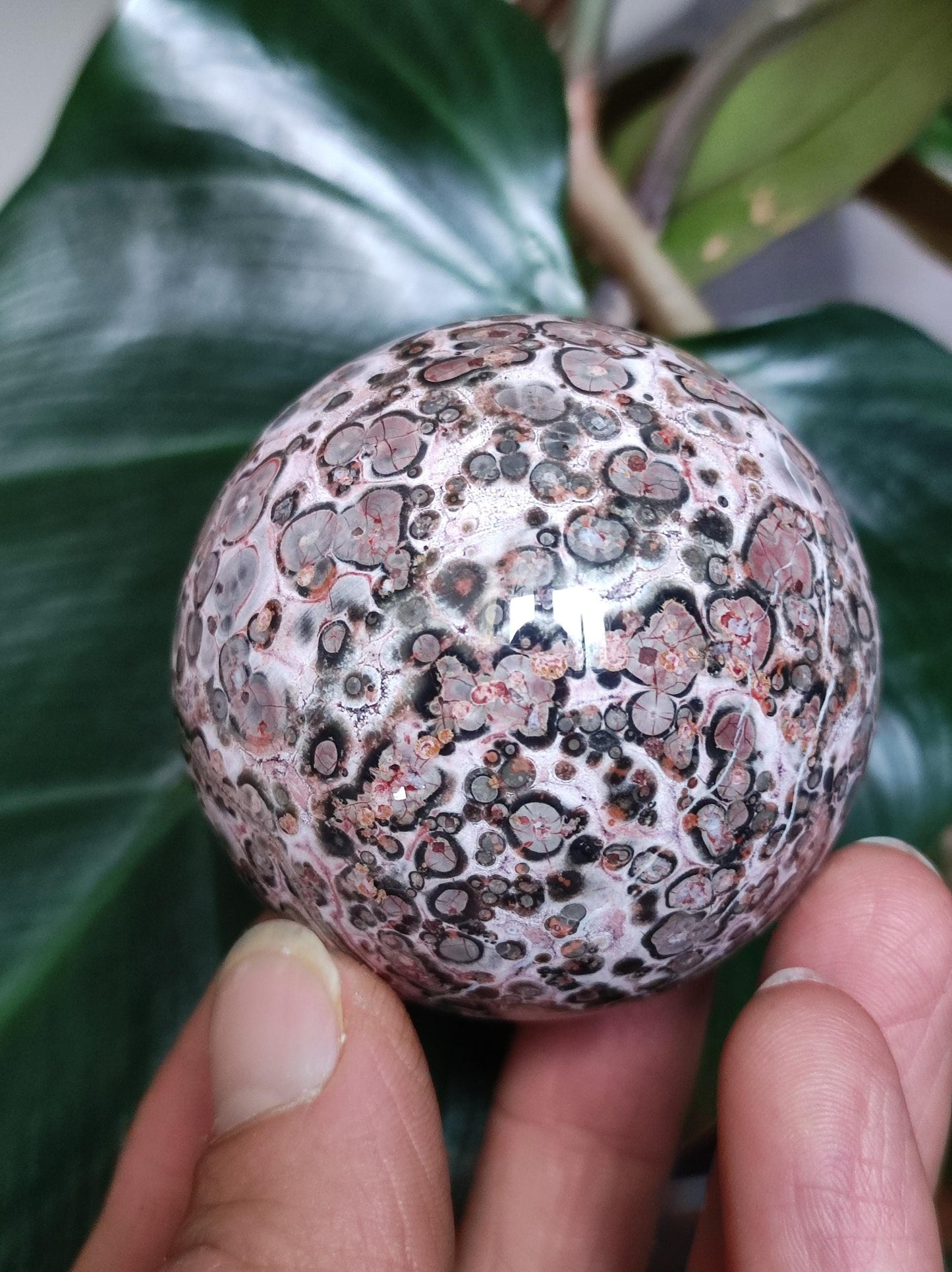 Leopard Jasper red yellow ~ Magic Gemstone Ball Collector Decoration Crystal Crystal Sphere Meditation Home Living Energy Chakra Healing Stone