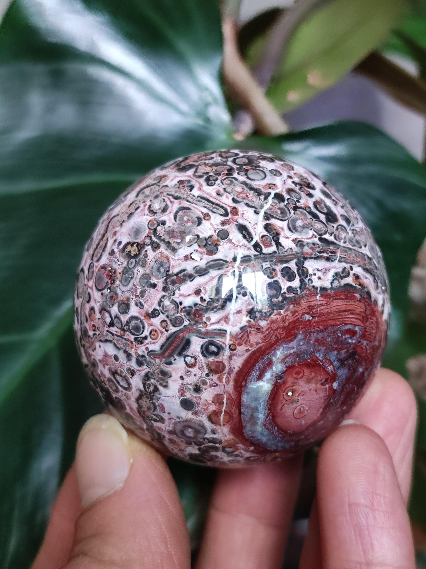 Leopard Jasper red yellow ~ Magic Gemstone Ball Collector Decoration Crystal Crystal Sphere Meditation Home Living Energy Chakra Healing Stone