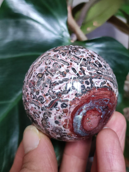 Leopard Jasper red yellow ~ Magic Gemstone Ball Collector Decoration Crystal Crystal Sphere Meditation Home Living Energy Chakra Healing Stone
