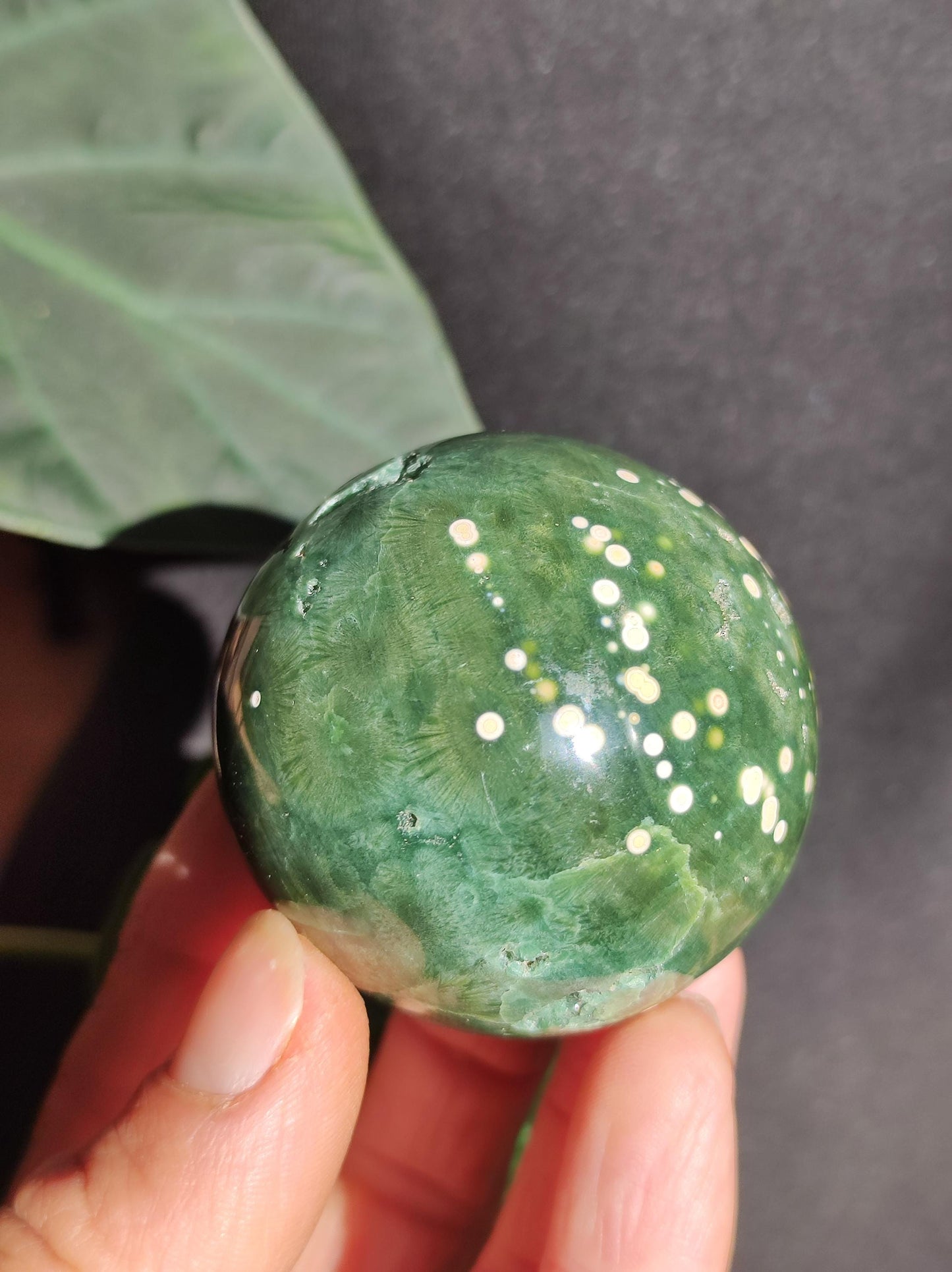 8 veines Ocean Jasper Orbiculaire vert - boule de pierre précieuse pierre de guérison naturelle décoration cristal cadeau lui elle homme femme maison appartement énergie rare
