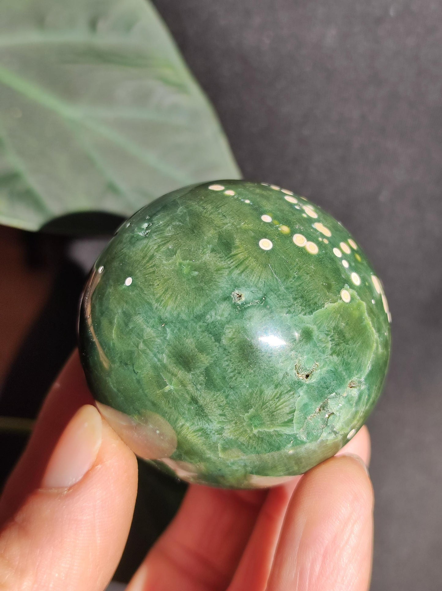8 veines Ocean Jasper Orbiculaire vert - boule de pierre précieuse pierre de guérison naturelle décoration cristal cadeau lui elle homme femme maison appartement énergie rare