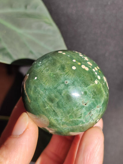 8 veines Ocean Jasper Orbiculaire vert - boule de pierre précieuse pierre de guérison naturelle décoration cristal cadeau lui elle homme femme maison appartement énergie rare