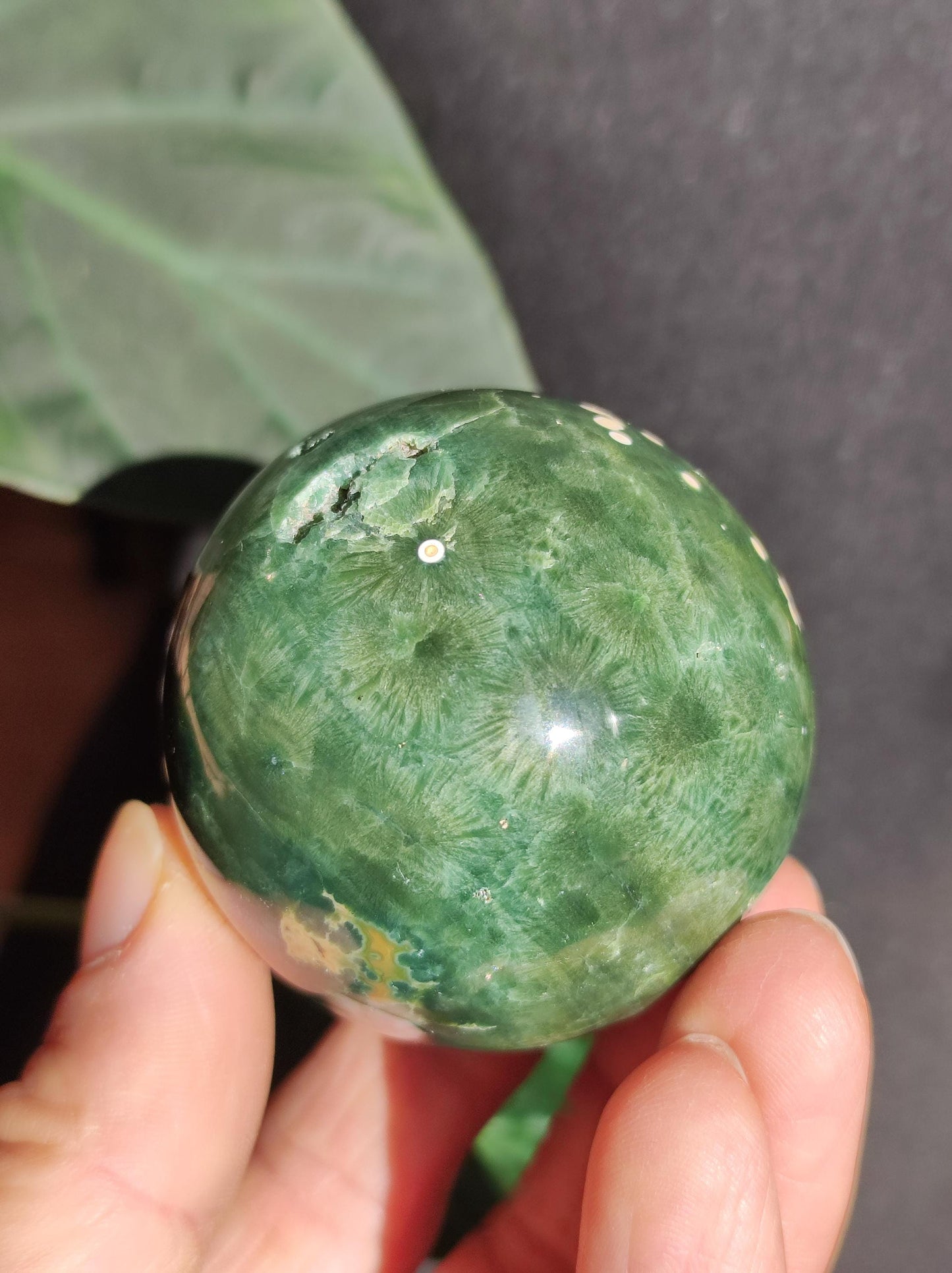 8 veines Ocean Jasper Orbiculaire vert - boule de pierre précieuse pierre de guérison naturelle décoration cristal cadeau lui elle homme femme maison appartement énergie rare