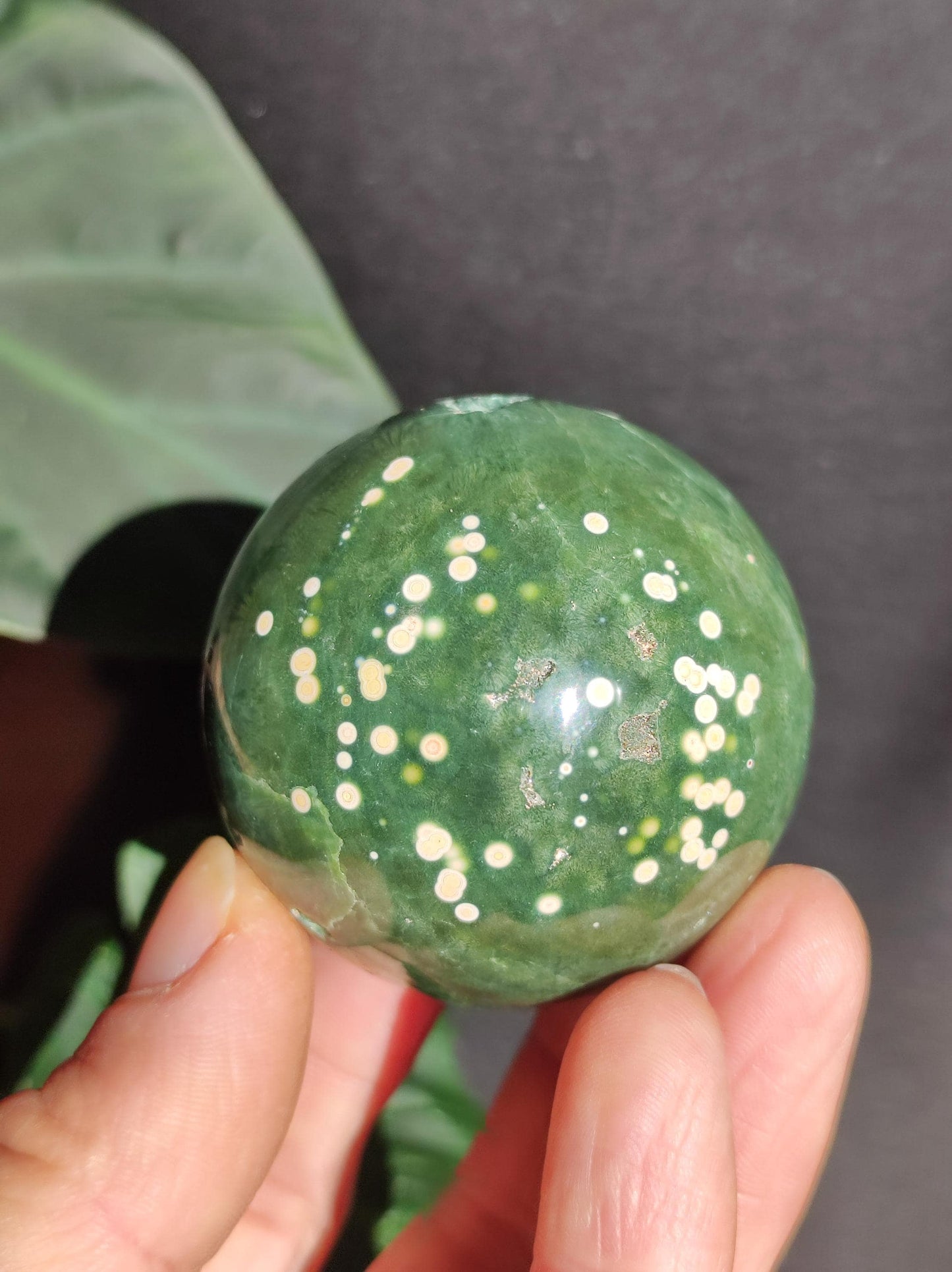 8 veines Ocean Jasper Orbiculaire vert - boule de pierre précieuse pierre de guérison naturelle décoration cristal cadeau lui elle homme femme maison appartement énergie rare