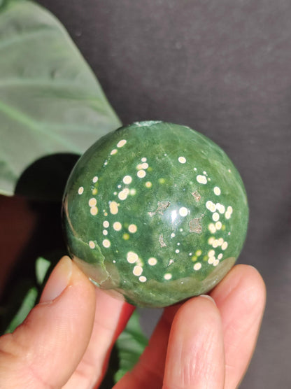 8 veines Ocean Jasper Orbiculaire vert - boule de pierre précieuse pierre de guérison naturelle décoration cristal cadeau lui elle homme femme maison appartement énergie rare