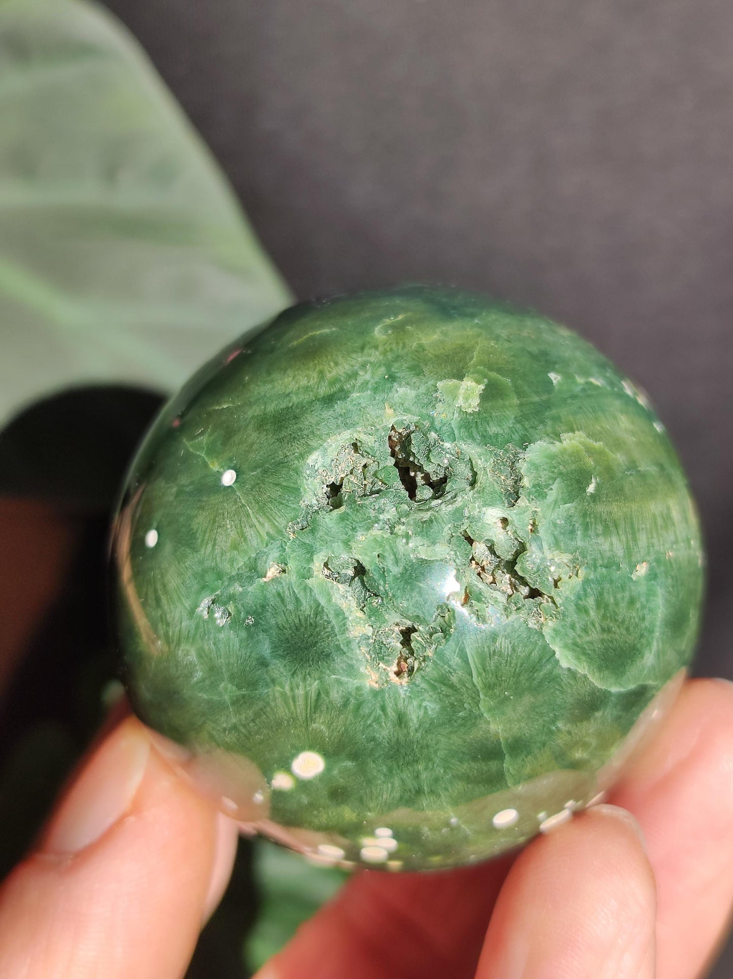 8 veines Ocean Jasper Orbiculaire vert - boule de pierre précieuse pierre de guérison naturelle décoration cristal cadeau lui elle homme femme maison appartement énergie rare